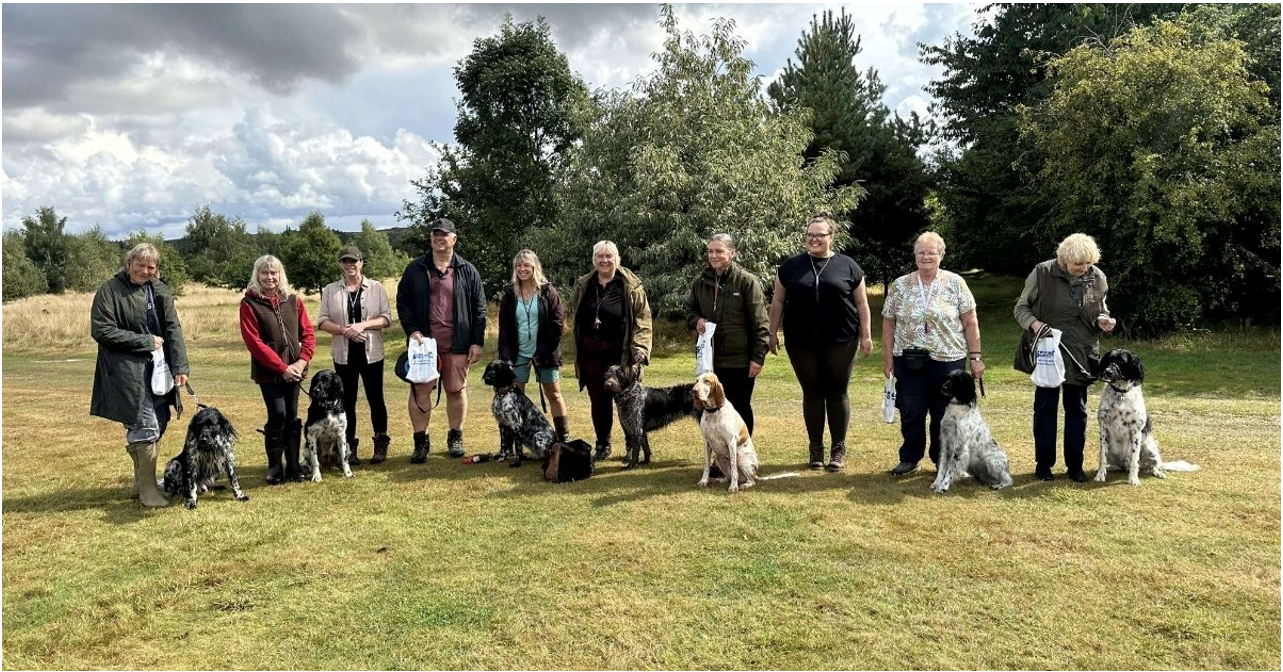 Recap of our gundog taster day with Sharon Pinkerton